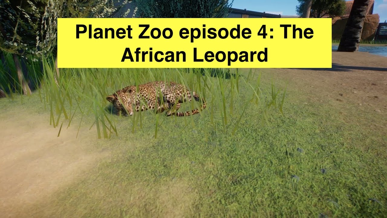 Planet Zoo Episode 3: African Leopard Waterfall exhibit build