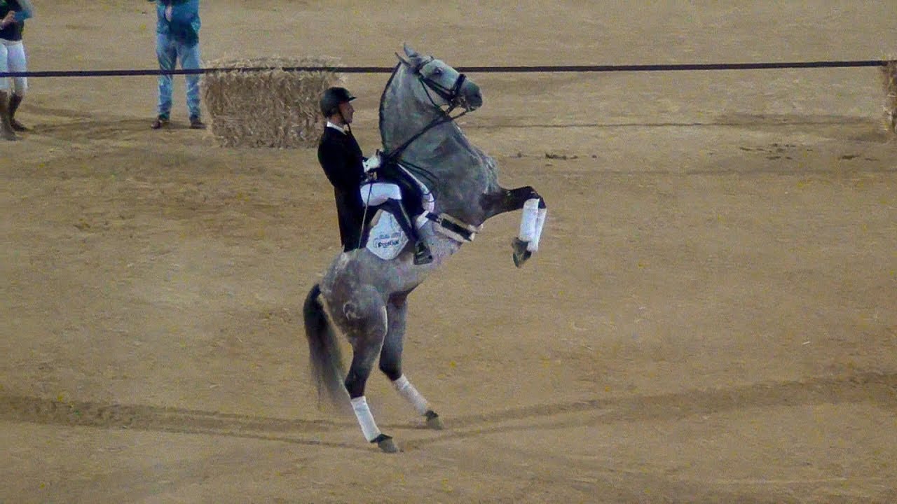 Gran Galà Equestre Città di Mussomeli - (14- 9- 2019)