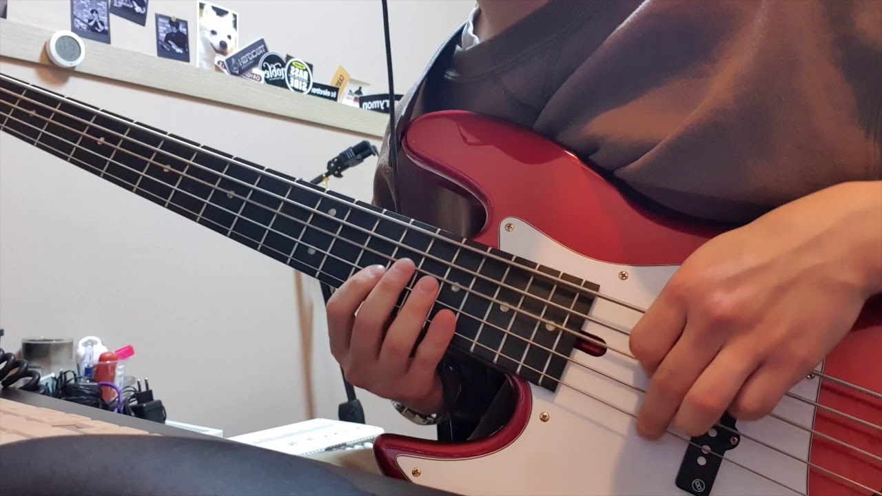 Isn't she lovely (bass solo)