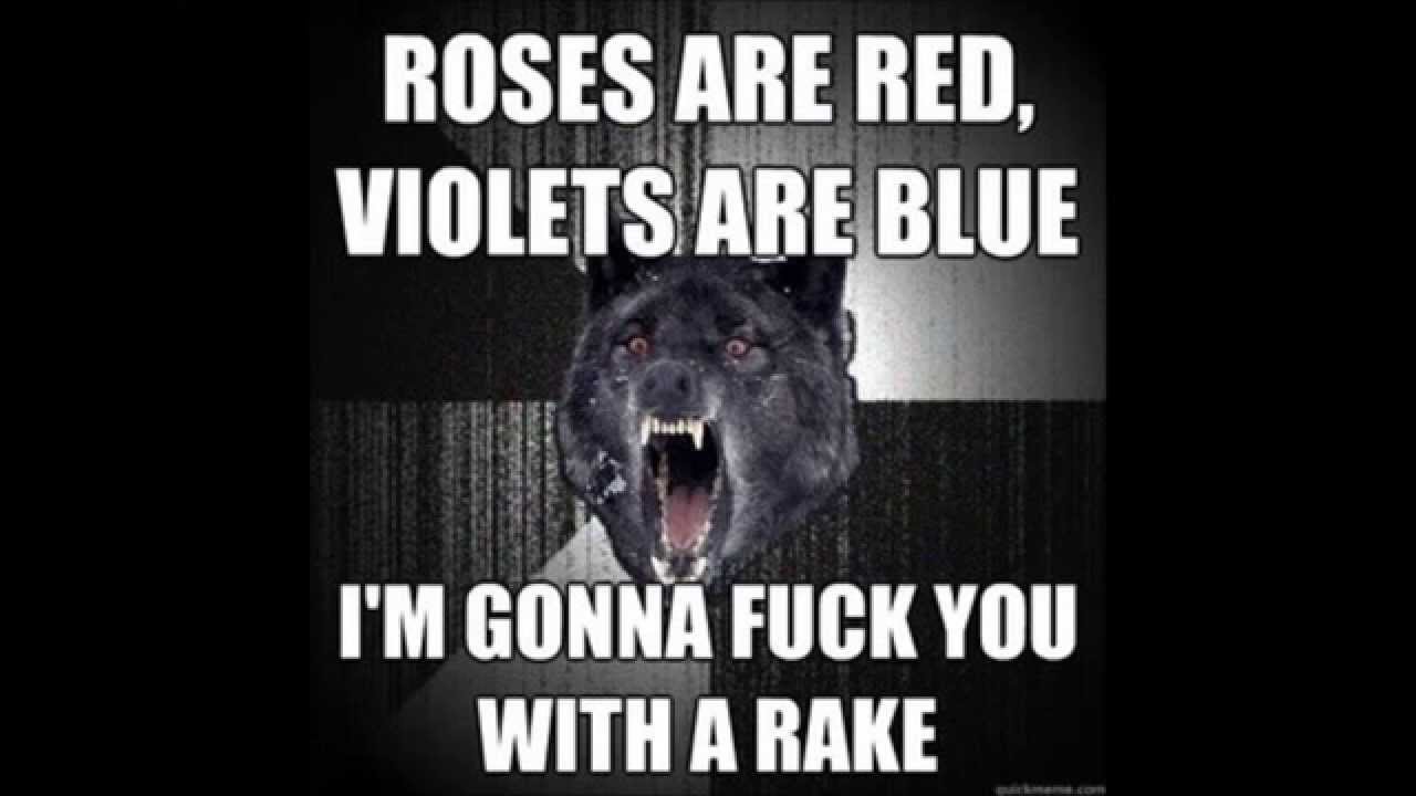 Courage Wolf, Insanity Wolf, and Advice Dog compilation