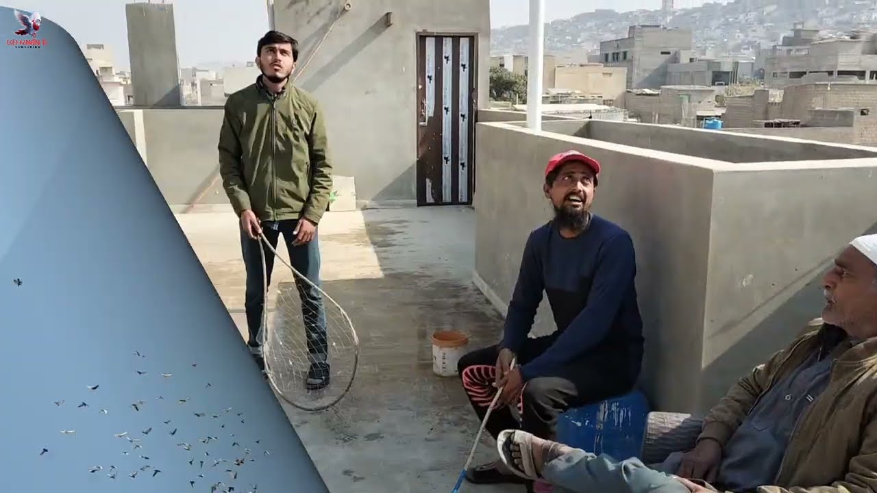 Adil Bhai Ke New Kabutar Ka Shouq 
