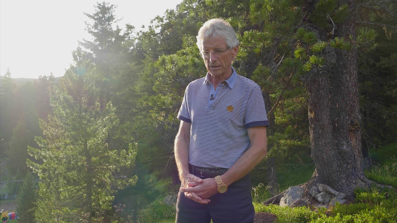 Landarzt Dr. Wolfgang Hochmeister über die Wirkung der Zirbe