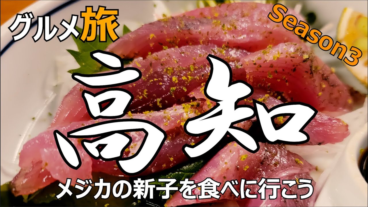 高知グルメ ひとり旅 メジカの新子を食べに行こう