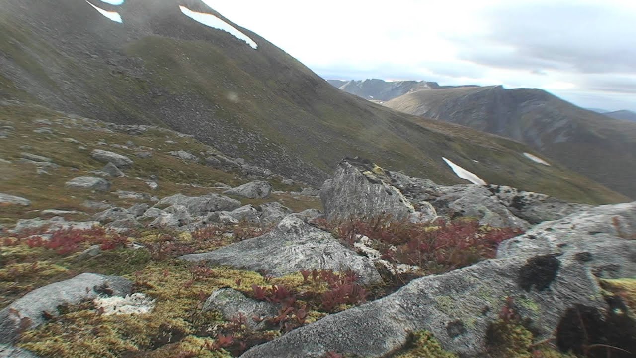Natur  fra  sj&oslash;-innland og h&oslash;yfjell -Sunnm&oslash;re Norge