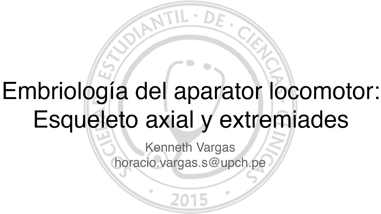Embriología del Sistema Locomotor I: Esqueleto axial y extremidades
