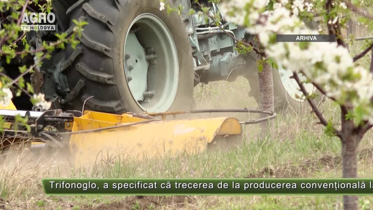 Livezi tratate bio &icirc;n Republica Moldova &ndash; AGRO TV News