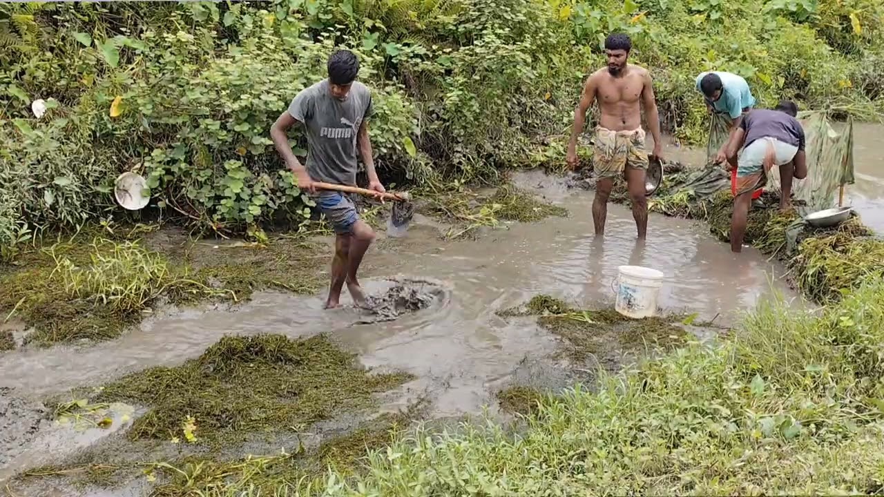 গ্রাম মানেই একটা অন্যরকম অনুভূতি 🌸🌸