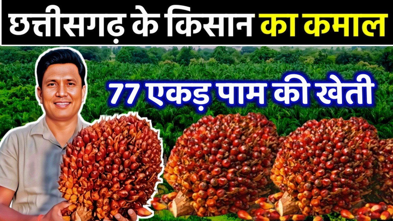 👉 77 Acre Palm Farming की पूरी जानकारी 🌴 | Odisha–CG | Govt Scheme Explained”