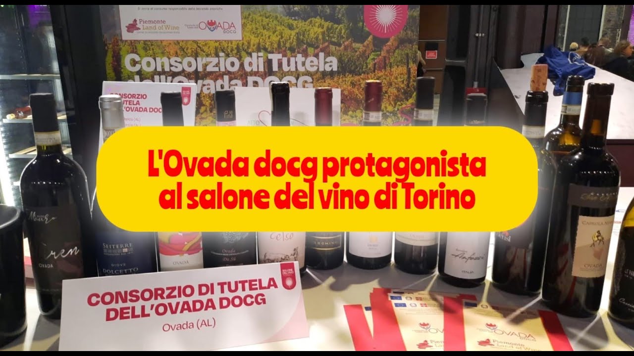 L'Ovada Docg protagonista al Salone del Vino di Torino   2025