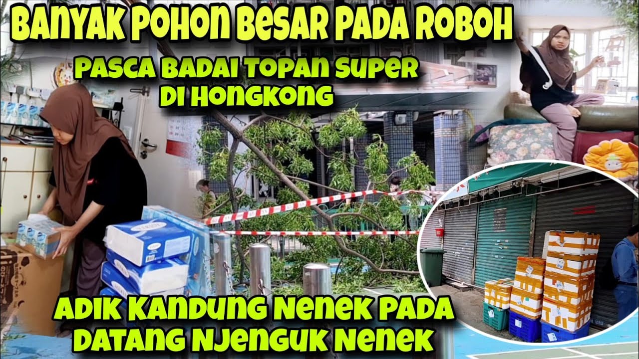 HONGKONG BANYAK POHON TUMBANG PASCA DIH4NTAM BADAI TOPAN SUPER RAGASA