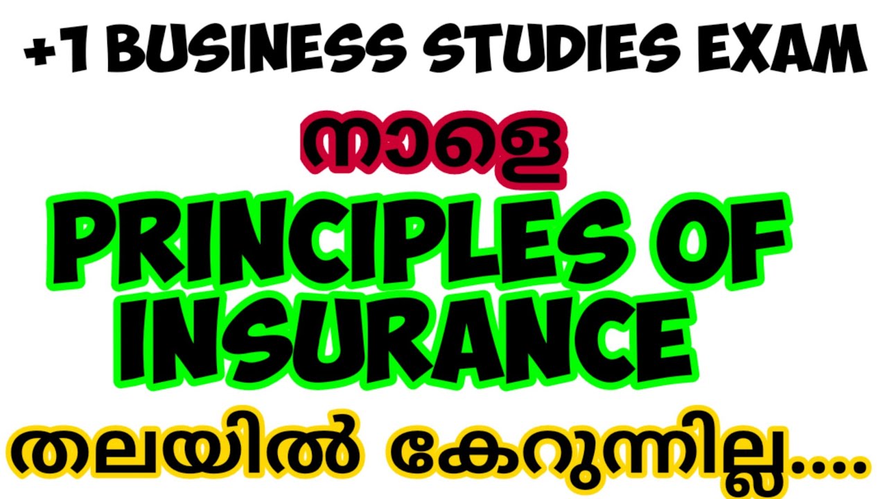 Plus one Business Studies Exam | Principles of Insurance | Very Imp Question | തലയിൽ കേറുന്നില്ല....
