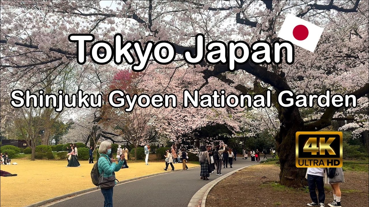 Shinjuku Gyoen National Garden Tokyo Japan [4K]