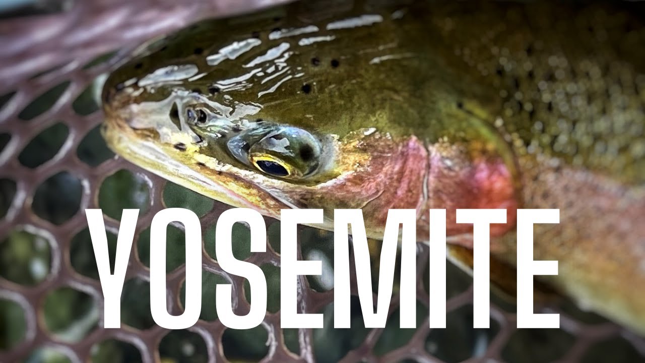 Clouds and Rainbows | Fly Fishing the Merced River, CA