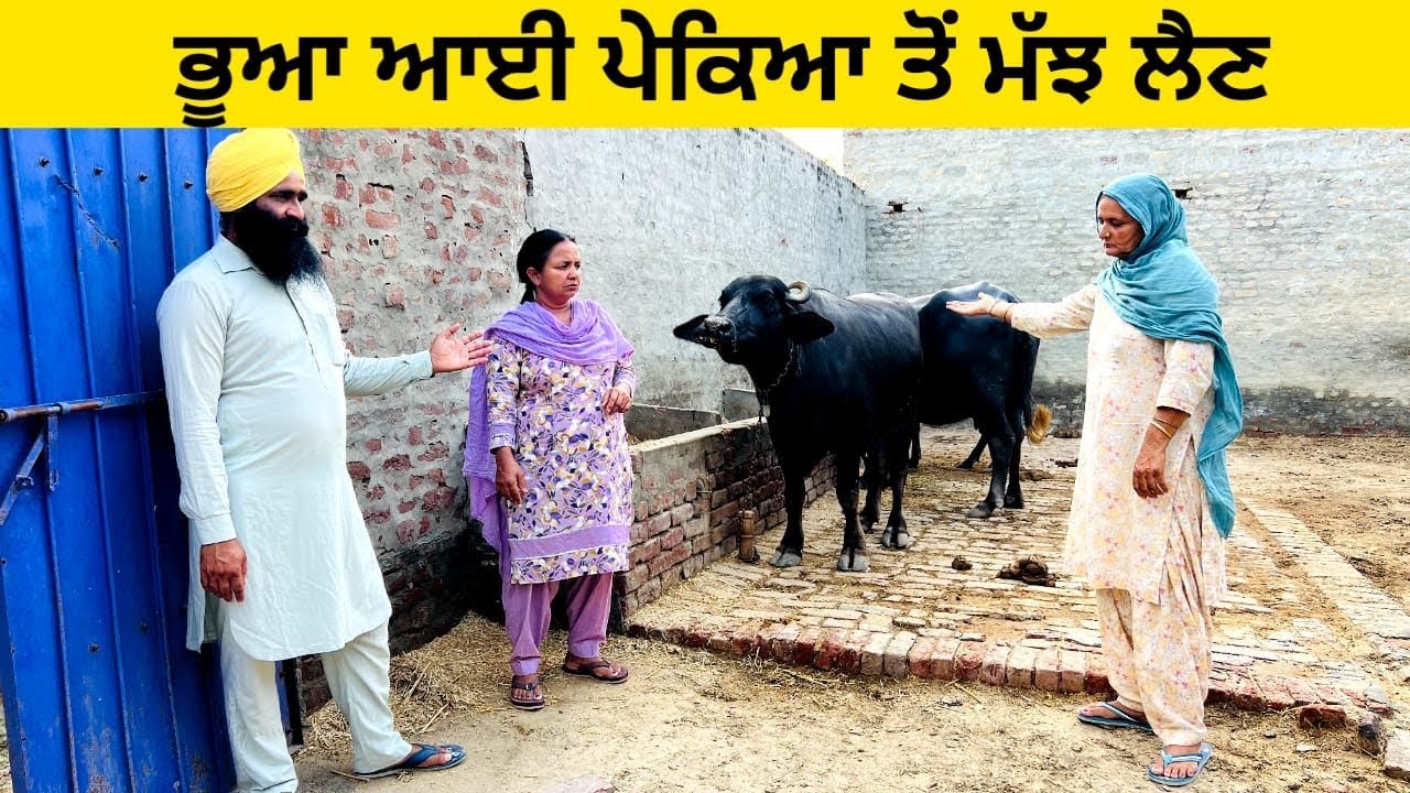 ਭੂਆ ਆਈ ਪੇਕਿਆ ਤੋਂ ਮੱਝ ਲੈਣ / ਪੰਜਾਬੀ ਨਾਟਕ / ਇੱਕ ਵੱਖਰੀ ਕਹਾਣੀ #sidhufamily #sidhupariwar #bhua #majh