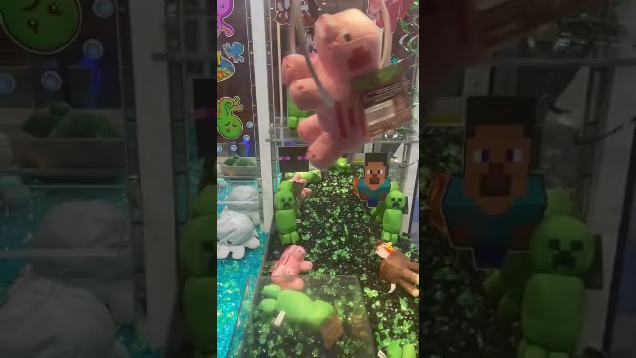 I won a Minecraft plush toy