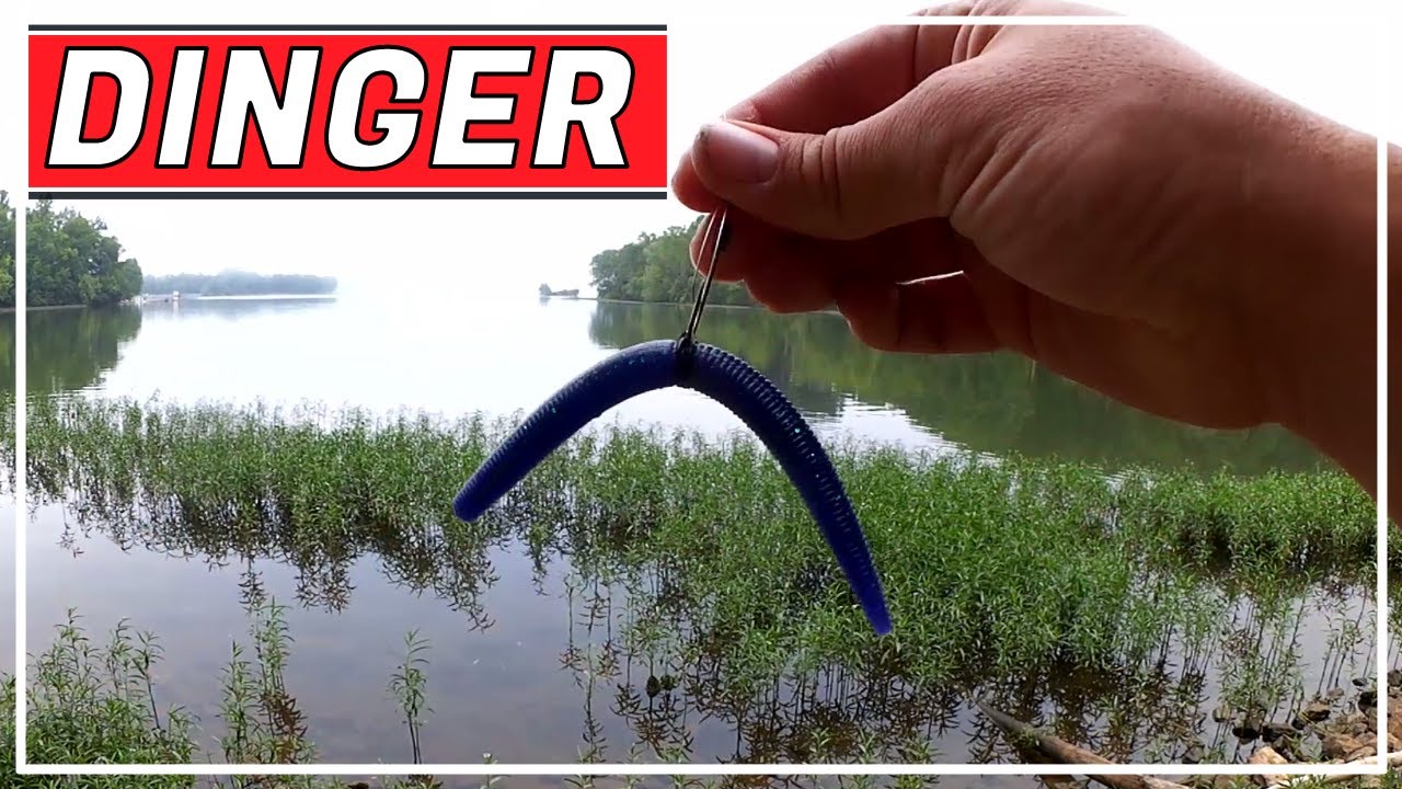 Easy Summer Bass Fishing Rig - Wacky Rig Yum Dinger (Beginner Level)