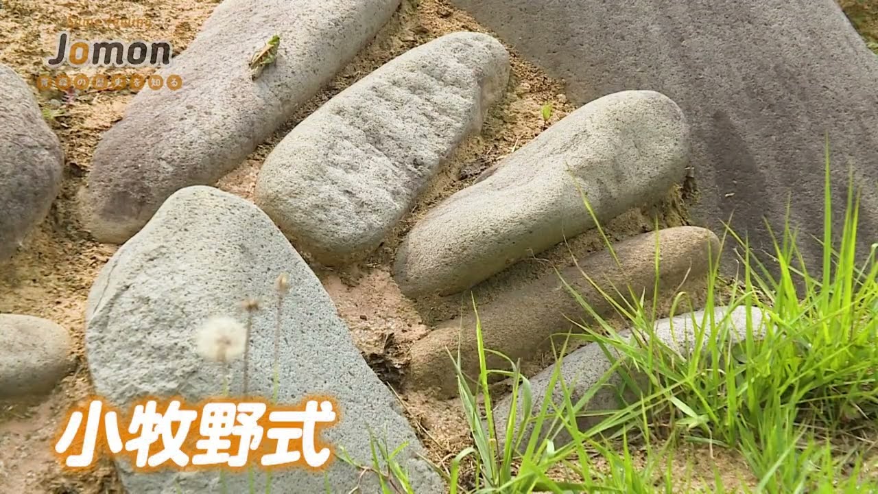 2022　青森市　小牧野遺跡　世界遺産 北海道・北東北の縄文遺跡群 最新情報