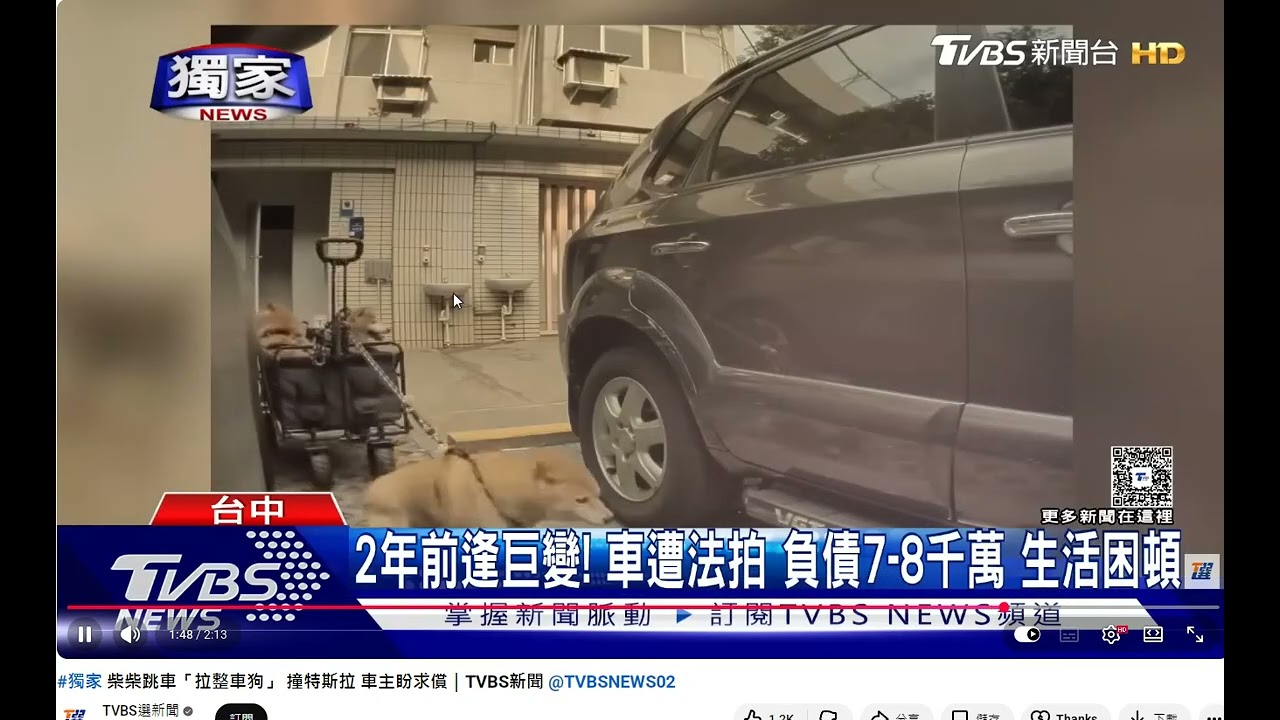 翻攝TVBS 柴柴跳車「拉整車狗」 撞特斯拉 車主盼求償