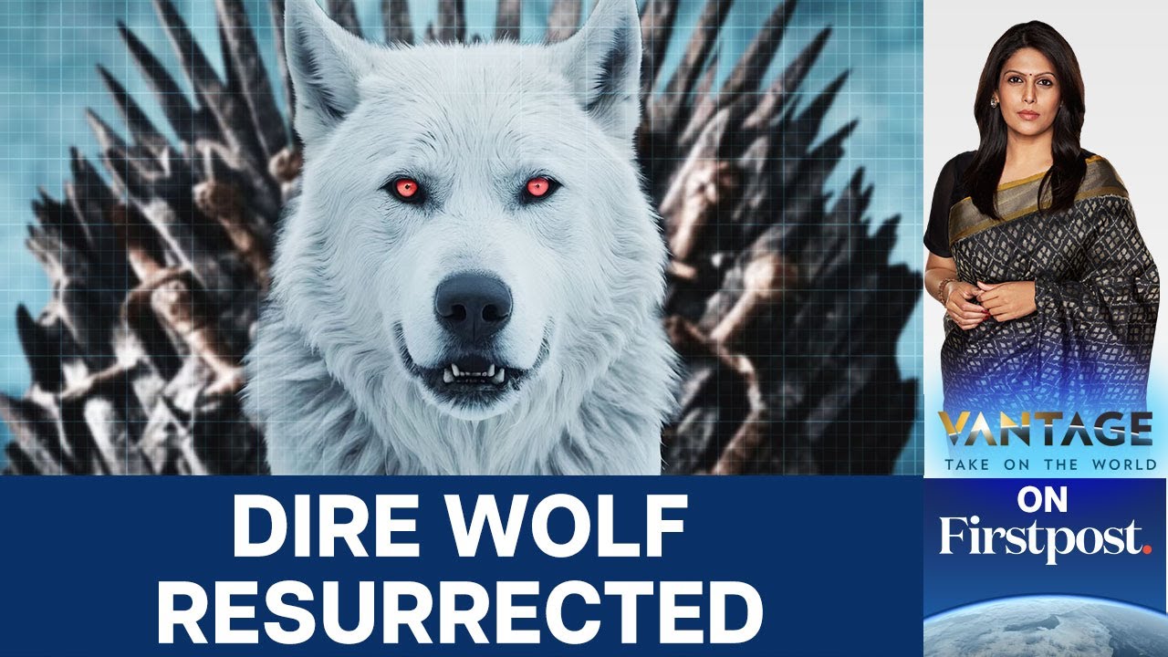De-Extinction: Scientists Resurrect Dire Wolf that Died 12,500 Years Ago | Vantage with Palki Sharma