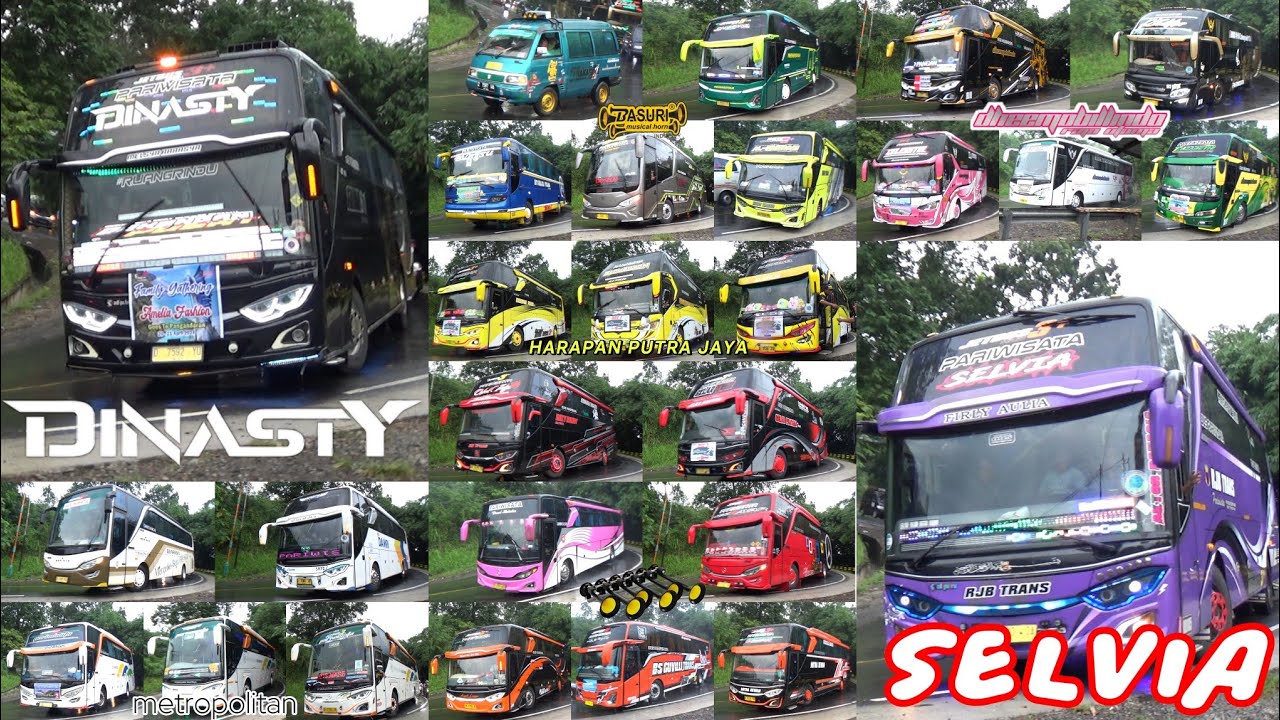 Mobil Bus Telolet Dinasty, Selvia, Bungsu, Serdadu, Celesstia, Flamboyan, Al Araf, Tarakasima