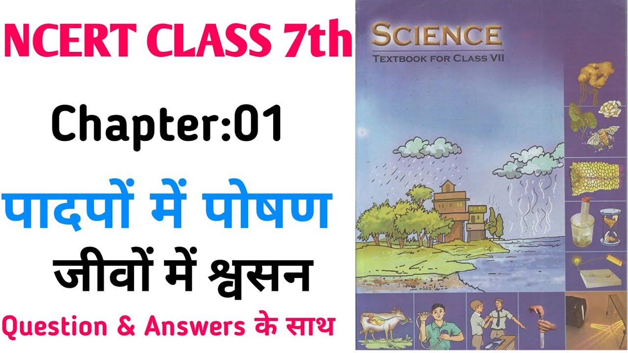 Chapter -1 पादपों में पोषण| Class 7th science chapter 1| Quick revision 