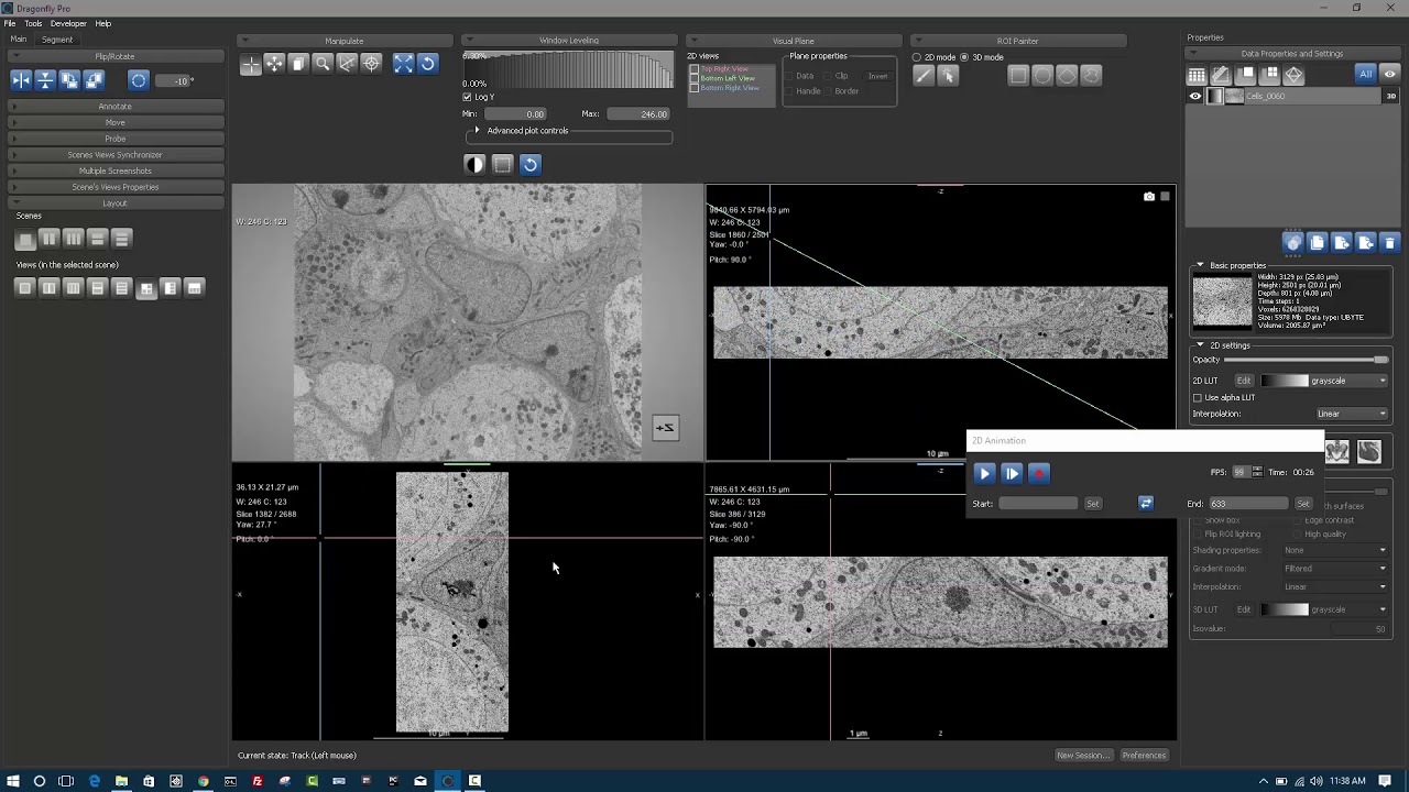 2D Animation Tool with Dragonfly