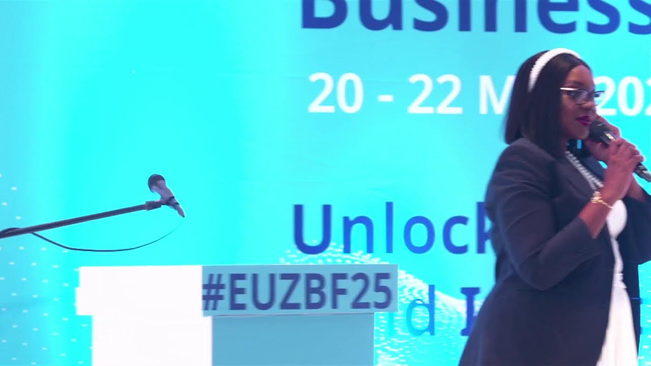 EU ZIMBABWE BUSINESS FORUM 2025  DAY 2 - Session 3: Opportunities in Government projects