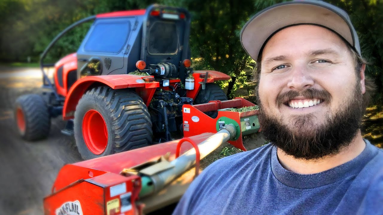 Why Do I Mow Weeds in the Almond Orchard? 🚜🌳