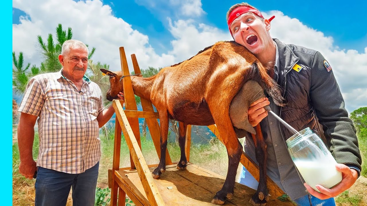 ماذا يأكل اللبنانيون؟ عائلة لبنانية طبخت لي خروفًا كاملًا
