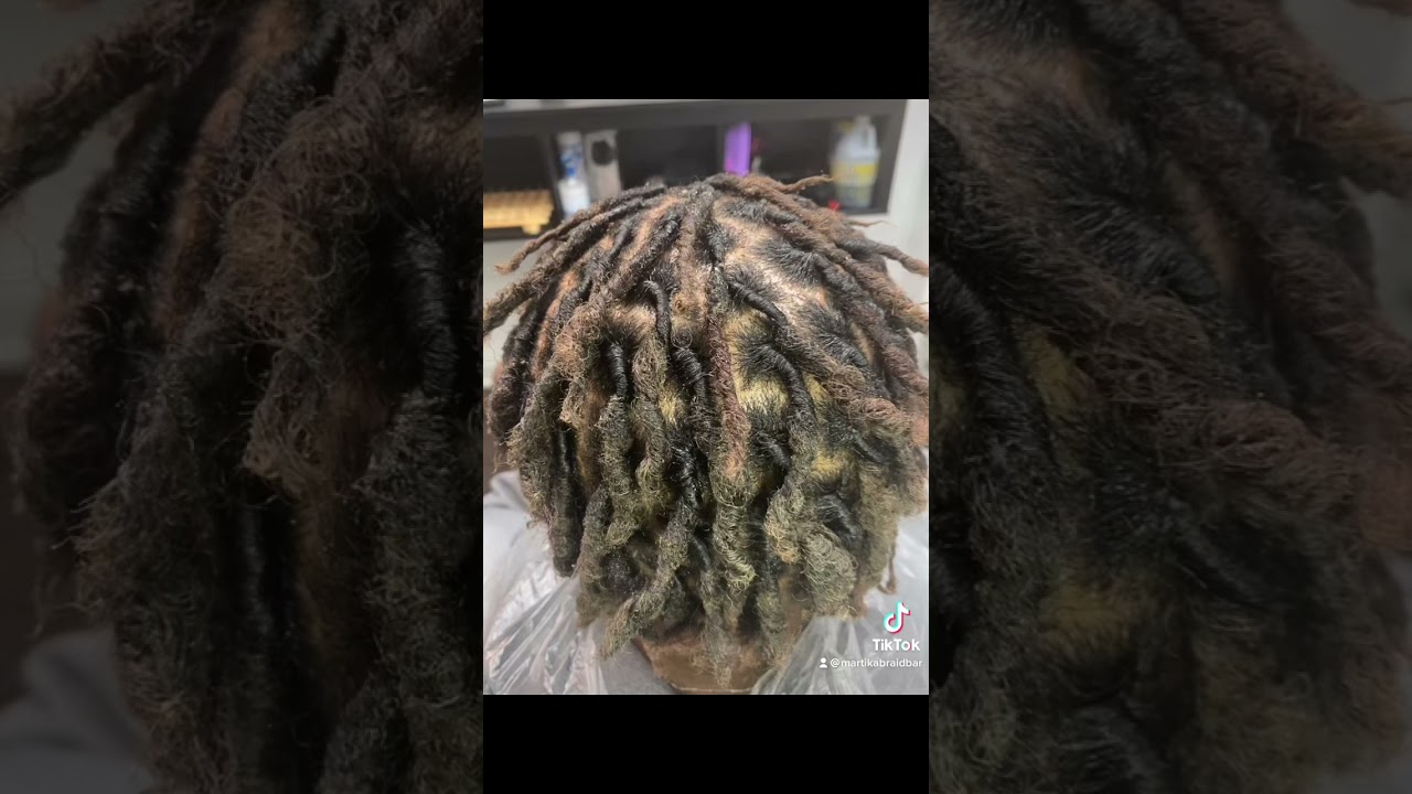 5 month locs process &ldquo;budding&rdquo; after big chop
