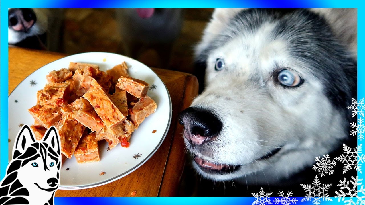 DIY DOG TREATS SALMON BRITTLE | Snow Dogs Snacks 56 | DIY Dog Treats Fish Treats
