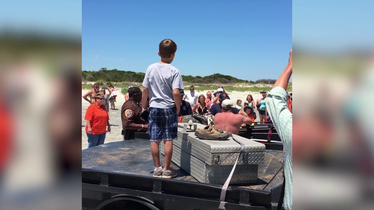 Ten-foot alligator removed from East Beach on St. Simons Island