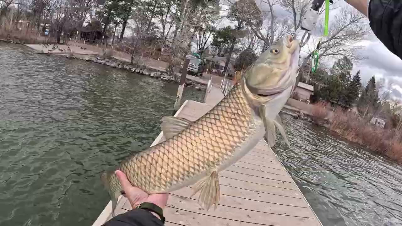 Fishing Rainbow Lake, Pinetop  AZ February 13, 2026