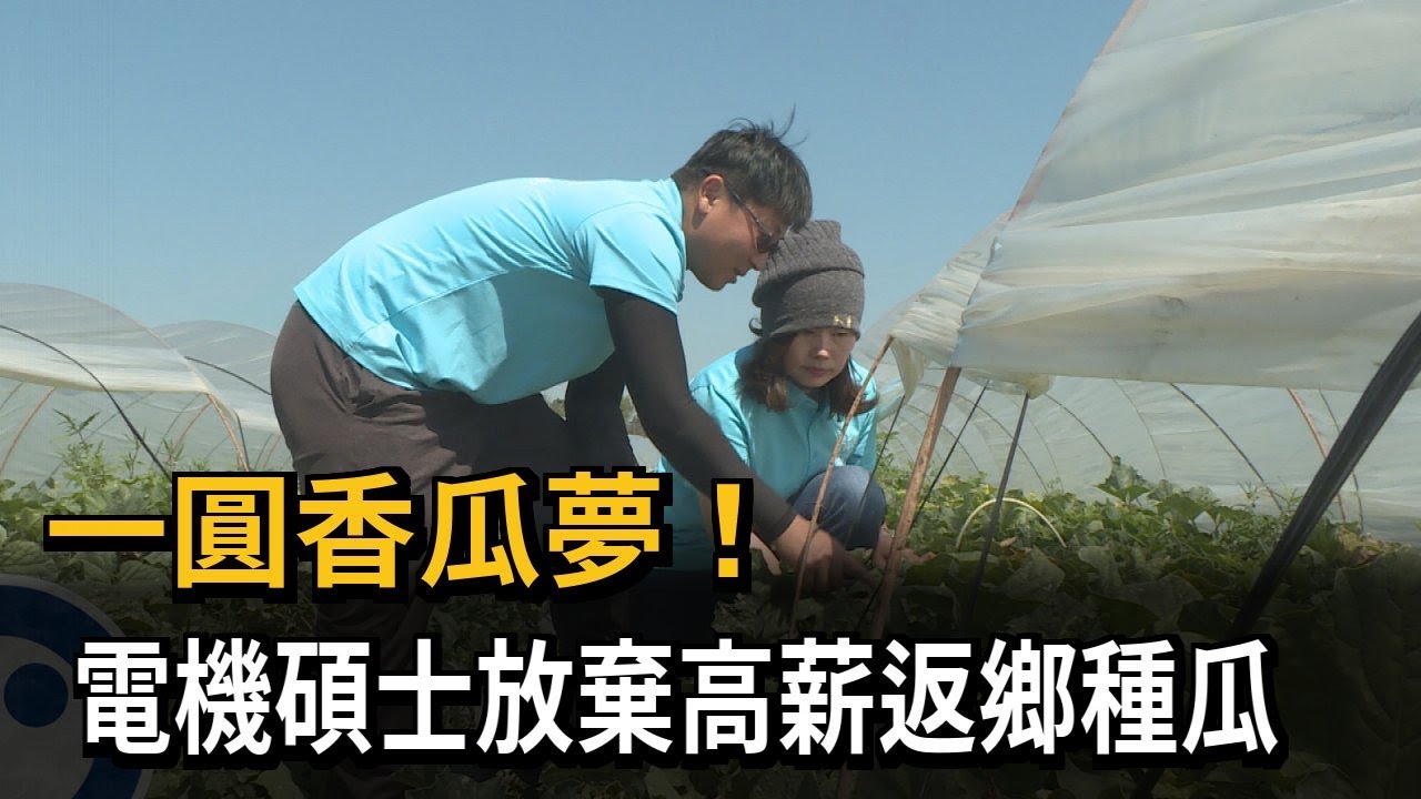 一圓香瓜夢！ 電機碩士放棄高薪返鄉種瓜－民視新聞