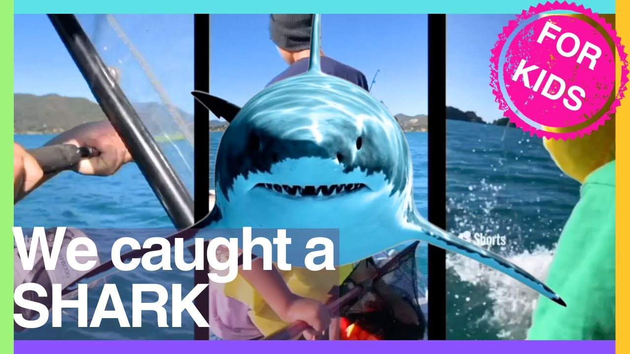 FISHING for Kids🎣 Learn about Fishing for Kids🎏 Fishing videos compilation 