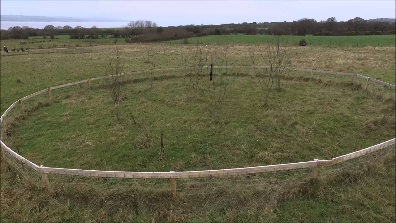 Wirral Gundogs & Gundog Gear: Ball Dropper Demo