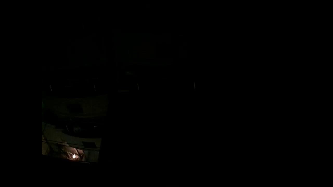 トリチューブ (BirdTube)