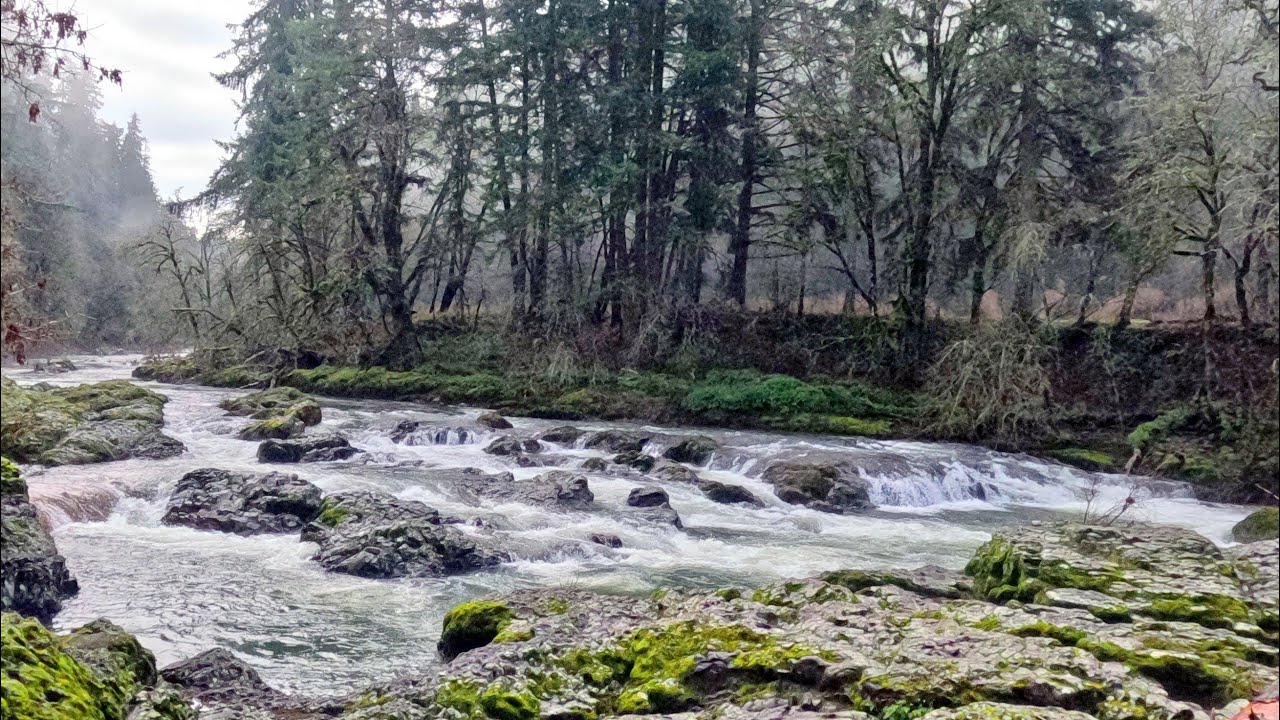 McKercher Falls -- Middle Line, Calapooia, 615 cfs (est), Jan 2026