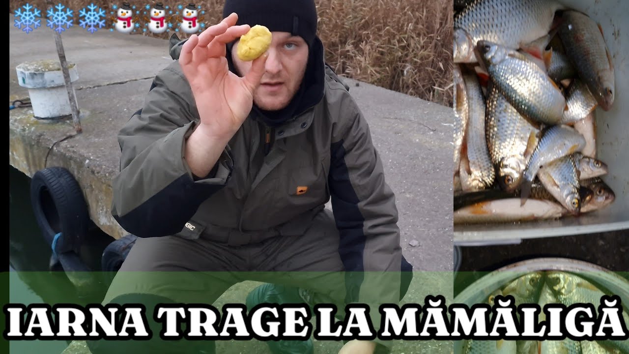 L-AM CAM SPART LA MAMALIGA E ASA SA TOT PESCUIESTI SI CUM CREZI LA PLUTAAAAAAA PRIMUL COM RETETA !