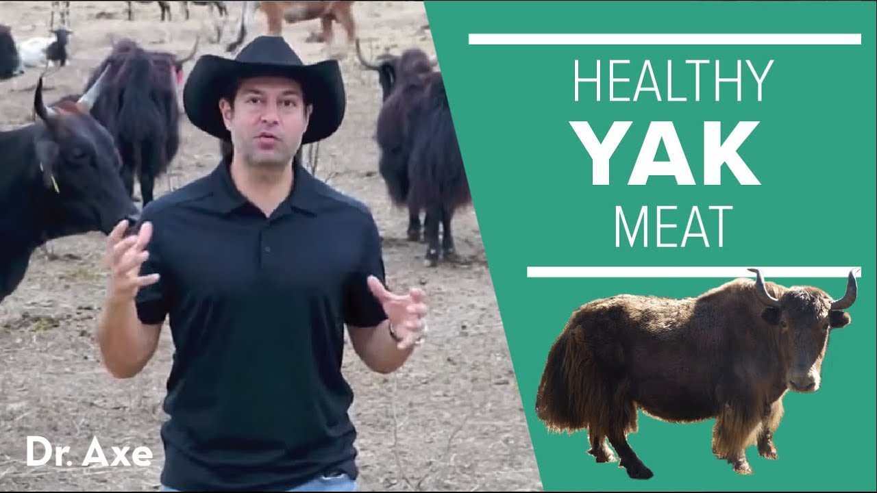 Yak: The Healthy Meat That You Probably Haven't Discovered
