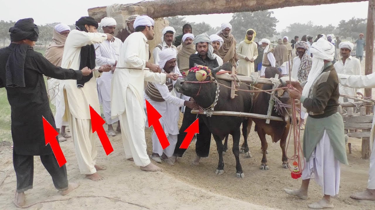 BESAKHI MAILA NEW KOT SULTAN  LAYYAH  2019  BAILON KI DORR Waseem 03156762824