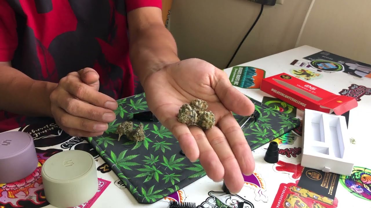 No Papers ? No Problem, It&rsquo;s Glass blunt time !!!