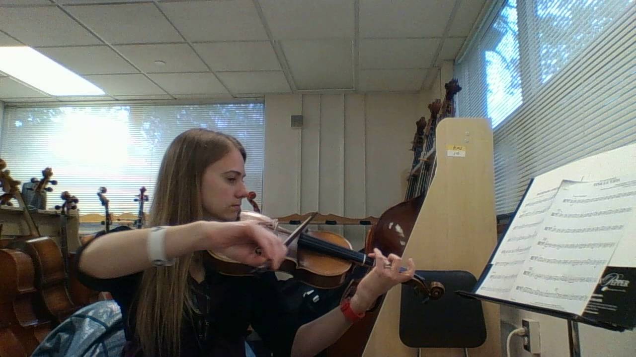 Viva La Vida Viola