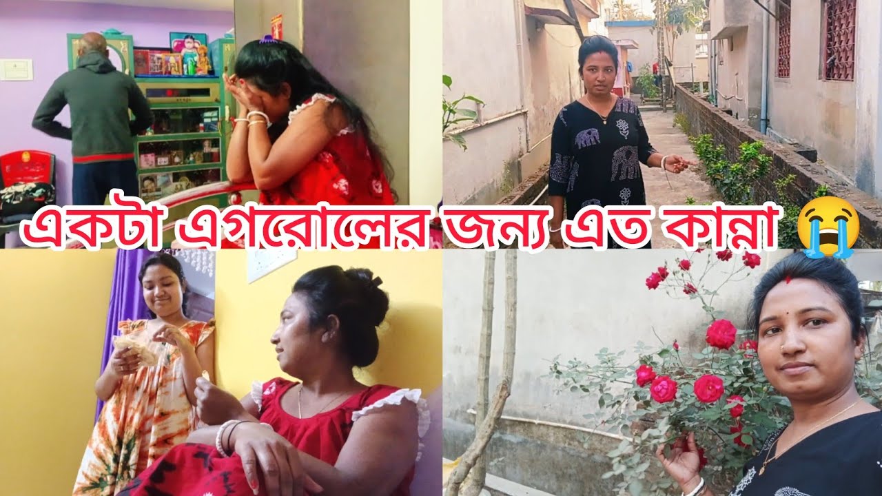 একটা এগরোল খাওয়ার জন্য এত কান্না 😭#vlog #videos #viral #bengali #bengalivlog 