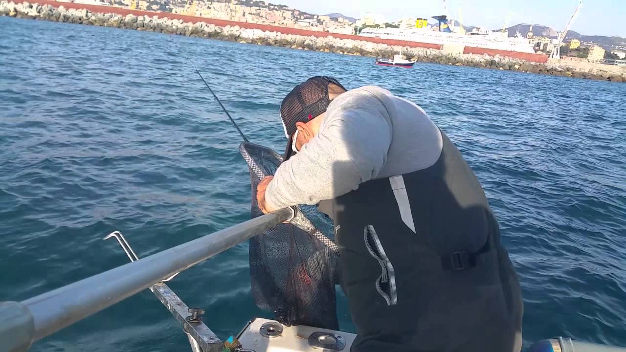 orata 2,100 kg in light drifting a Genova