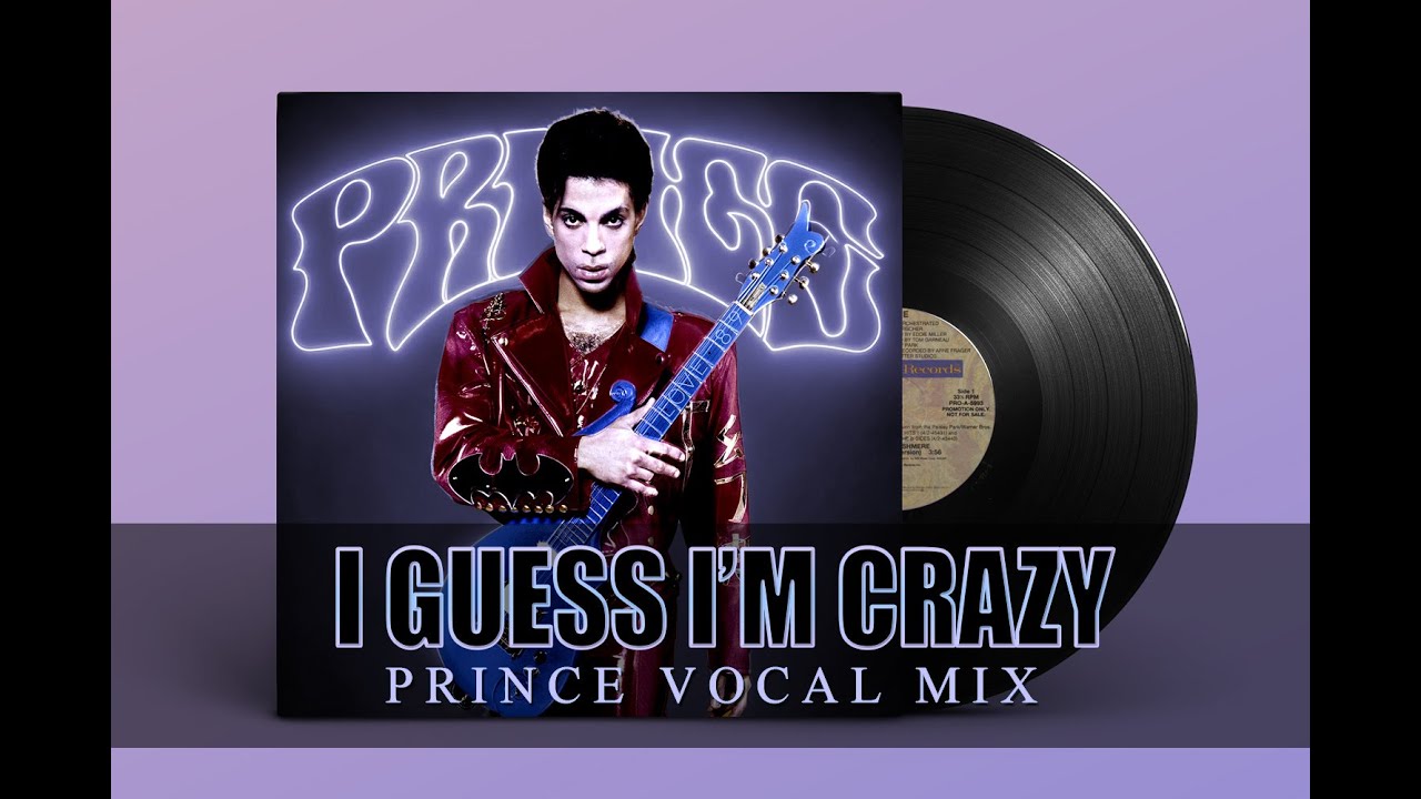 I Guess I'm Crazy - Prince vocal Mix (99PROBLEM5 Mix)