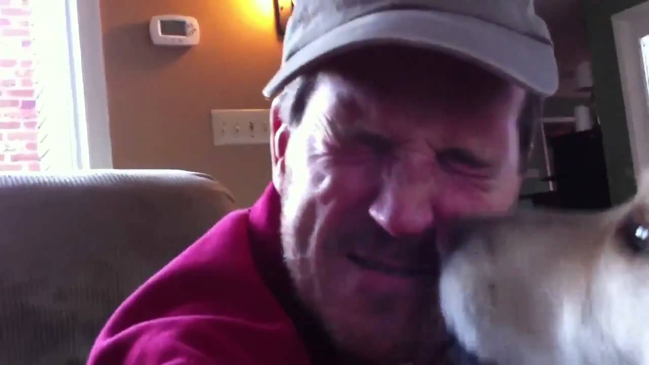 Why do dogs lick human faces