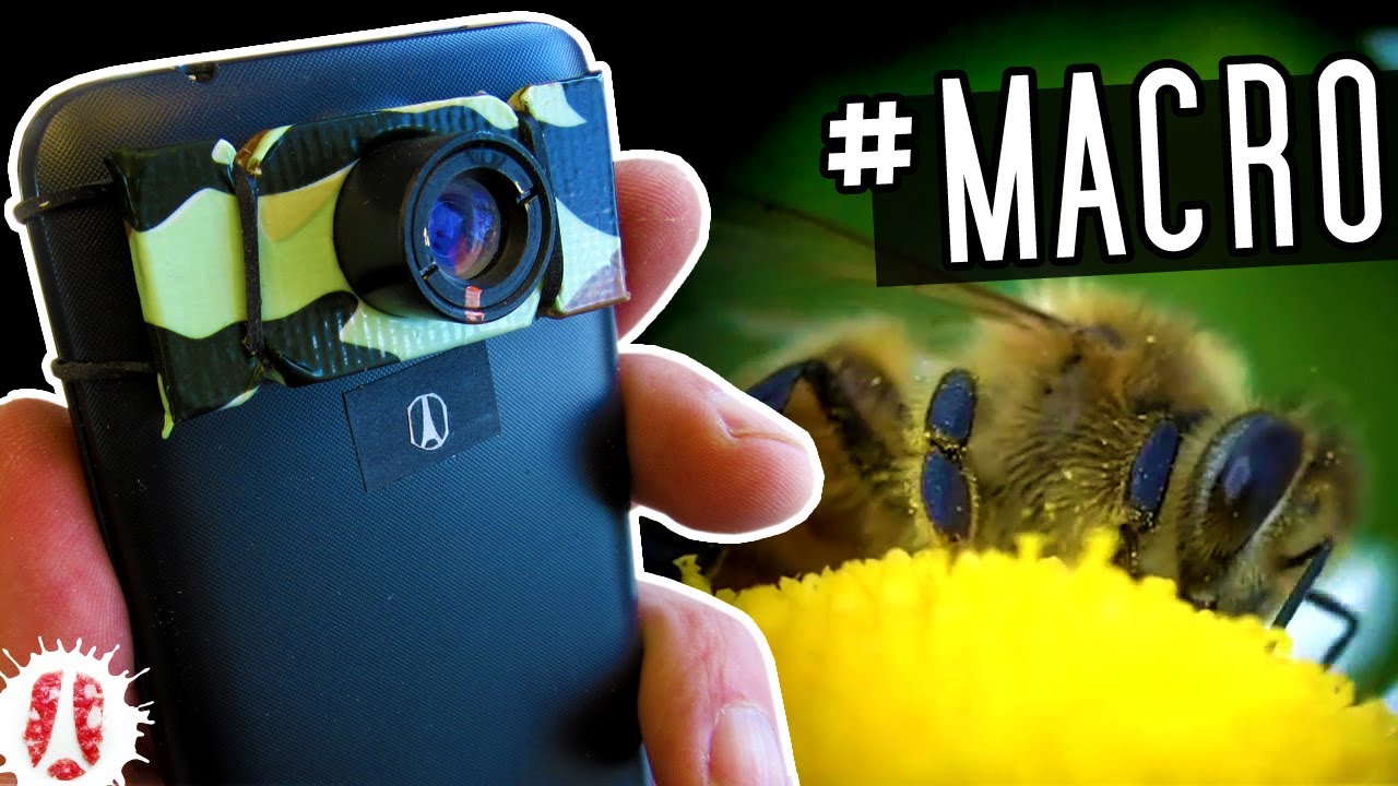 В ДИКОЙ ПРИРОДЕ! Тест нашего макрообъектива для смартфона: видео крупным планом на красивой природе