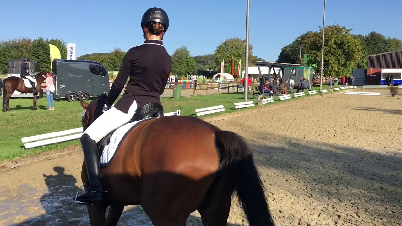 Unser erster L Sieg 😍🥇🏆 Dressurreiter L (RL2) kommentiert (02.09.18)