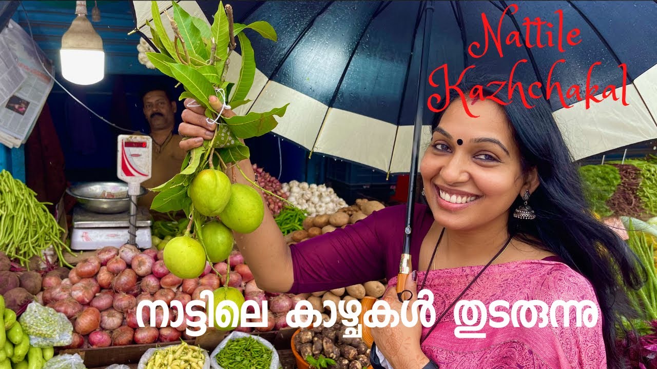 ഗുരുവായൂർ ,തൃശ്ശൂർ ,പെരിഞ്ഞനം വഴികളിലൂടെ  | Guruvayur ,Thrissur ,Perinjanam Kazhchakal |Kerala Vlog